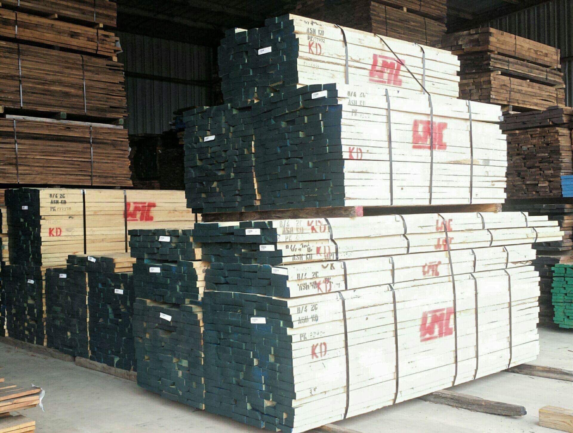 lĩnh vực hoạt động